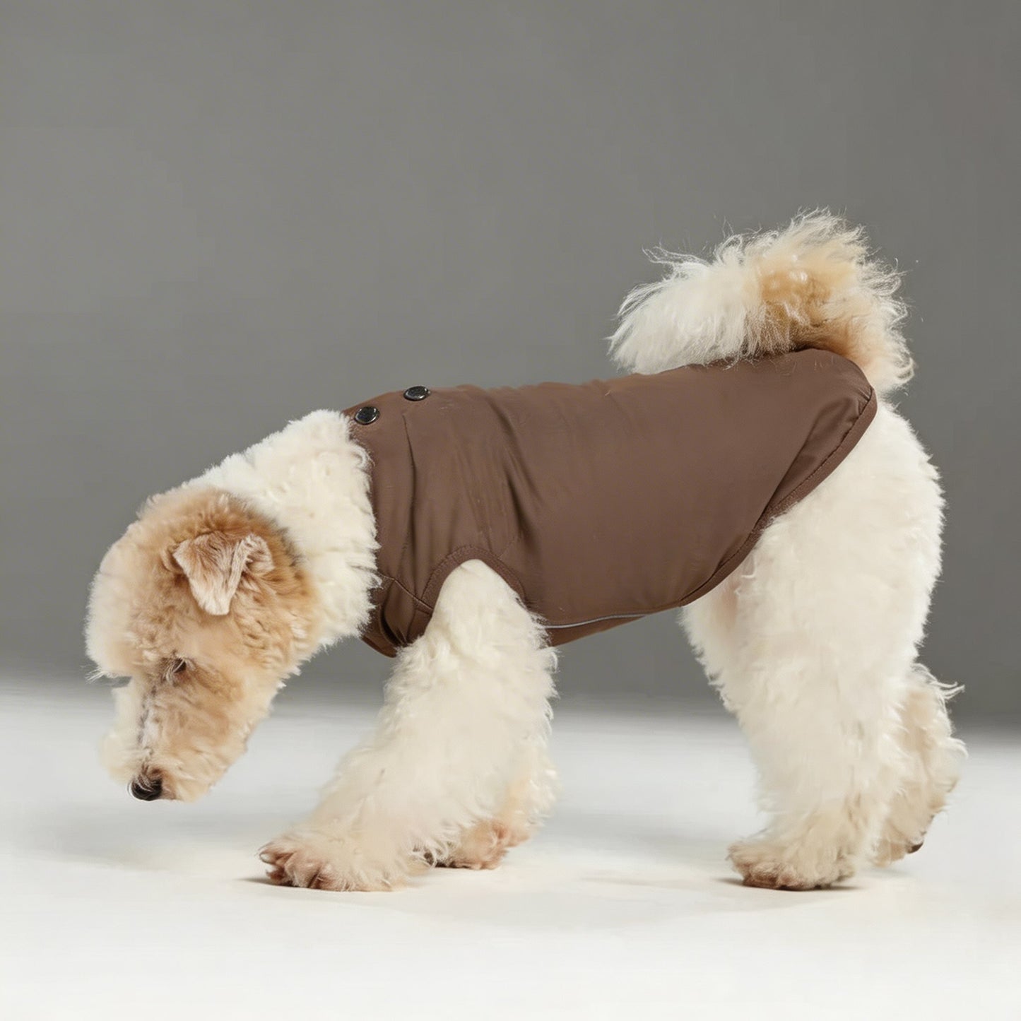 Dog Cooling Vest Adjustable Reflective Lightweight for Small Medium Large Dogs