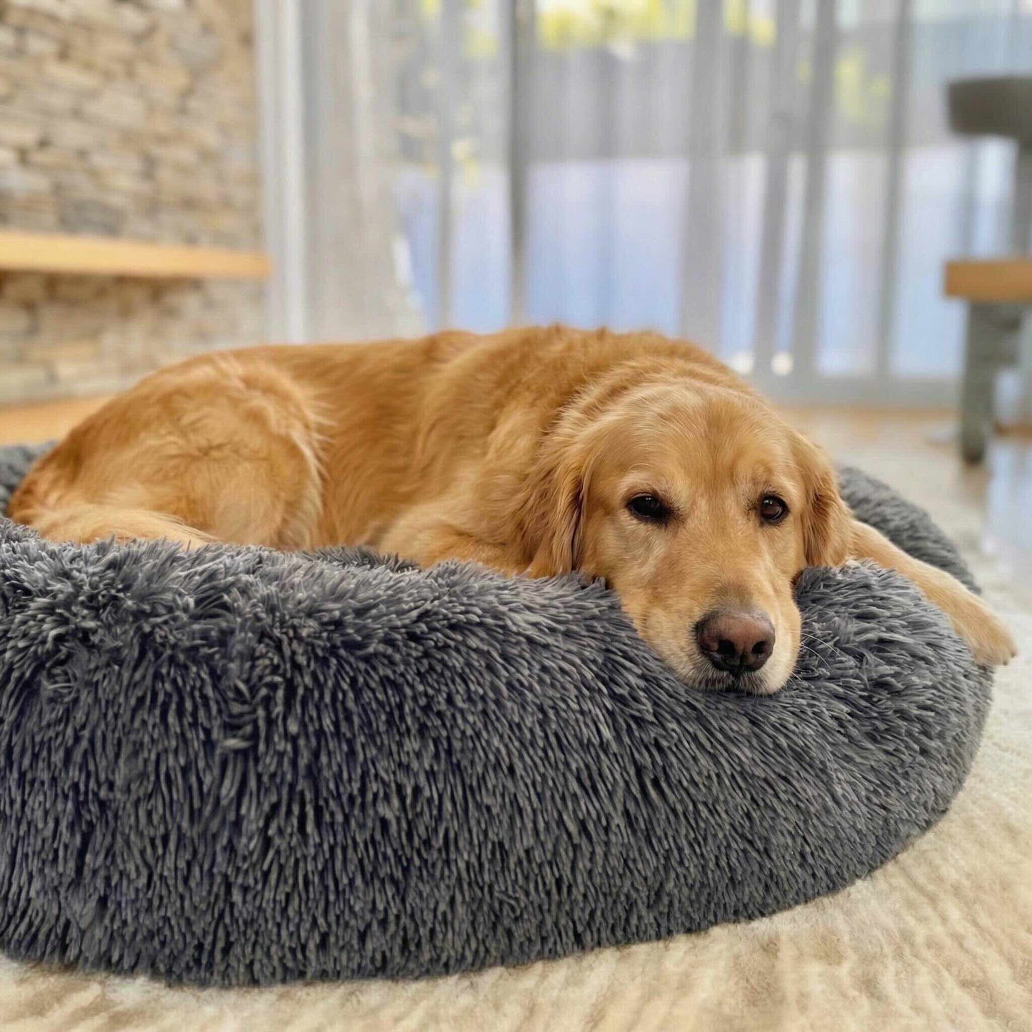 Orthopaedic Large Dog Bed - Memory Foam Plush Mattress for Big Breeds