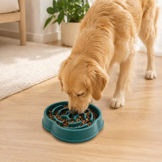 Slow Feeder Dog Bowl Non-Slip Durable Plastic Anti Choking Design for Healthy Eating
