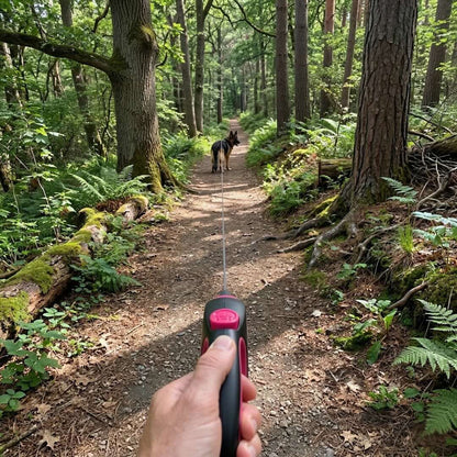 Retractable Dog Leash 8M Heavy-Duty Nylon Tangle-Free Ergonomic Handle One-Touch Lock