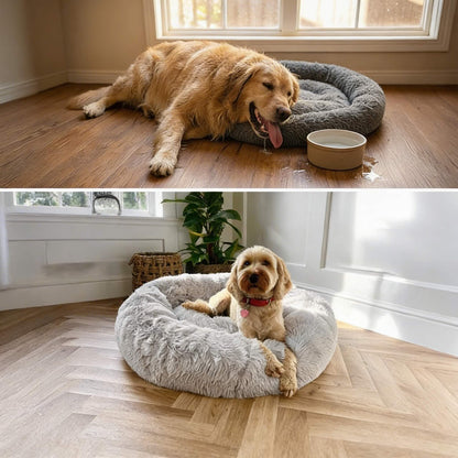 Orthopaedic Large Dog Bed - Memory Foam Plush Mattress for Big Breeds