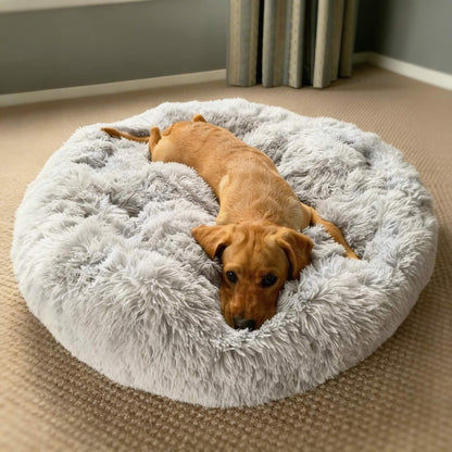 Orthopaedic Large Dog Bed - Memory Foam Plush Mattress for Big Breeds