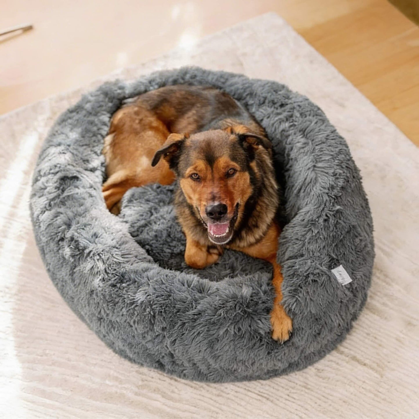 Orthopaedic Large Dog Bed - Memory Foam Plush Mattress for Big Breeds