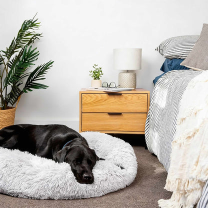 Orthopaedic Large Dog Bed - Memory Foam Plush Mattress for Big Breeds