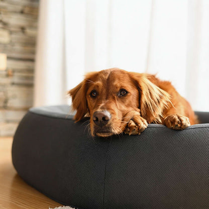 Cozy Nest Dog Bed Small Medium Fleece Material Soft Washable Plush Design