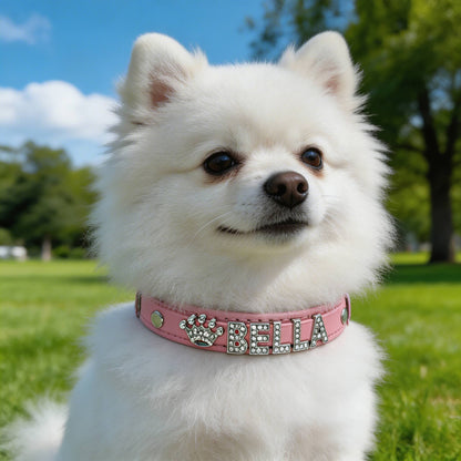 Personalised Bling Rhinestone Dog Collar with Name