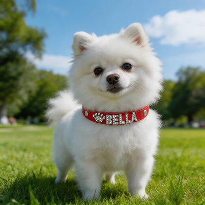 Personalised Bling Rhinestone Dog Collar with Name