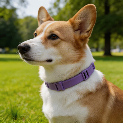 Natural Flea Tick Collar for Dogs and Cats, Waterproof, 8-Month Protection