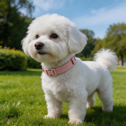 Natural Flea Tick Collar for Dogs and Cats, Waterproof, 8-Month Protection