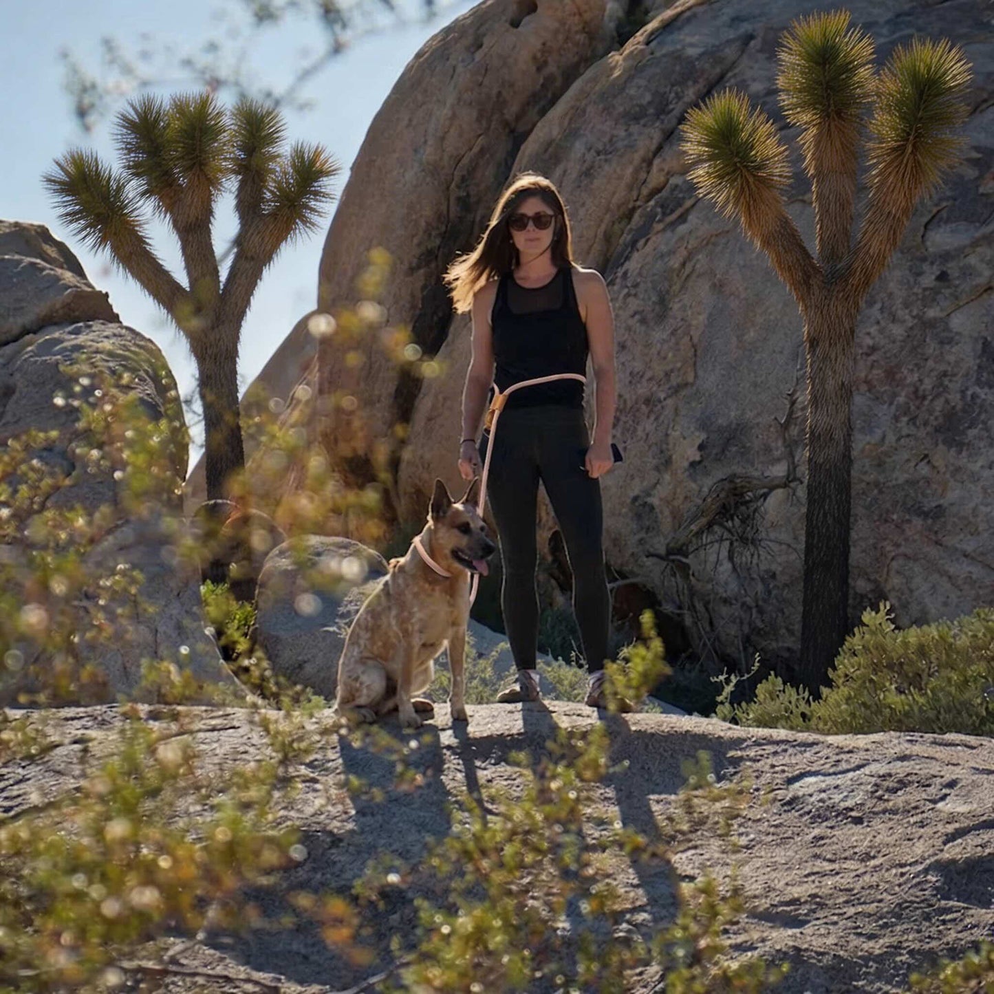 Adjustable Hands-Free Dog Lead with Waist Belt for Jogging and Hiking