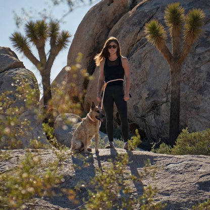 Adjustable Hands-Free Dog Lead with Waist Belt for Jogging and Hiking