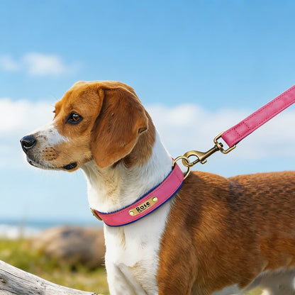Soft Padded Personalised Leather Dog Collar with Lead Set for Small to Large Dogs