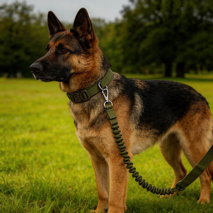Military-Grade Tactical Dog Collar and Leash Set