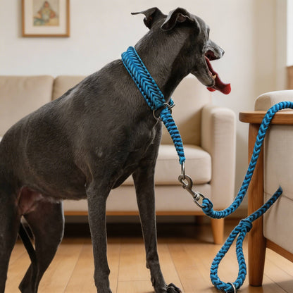 Luminous Dog Collar and Leash Set Large Adjustable Nylon Anti-Pull for Night Safety
