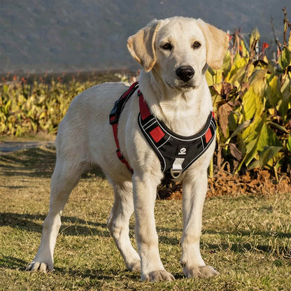Reflective No-Pull Dog Harness Adjustable for Small Dogs
