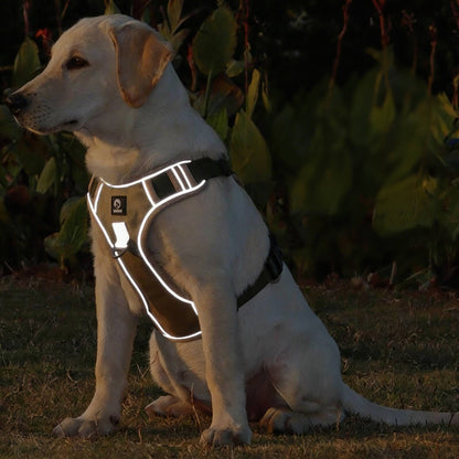 Reflective No-Pull Dog Harness Adjustable for Small Dogs