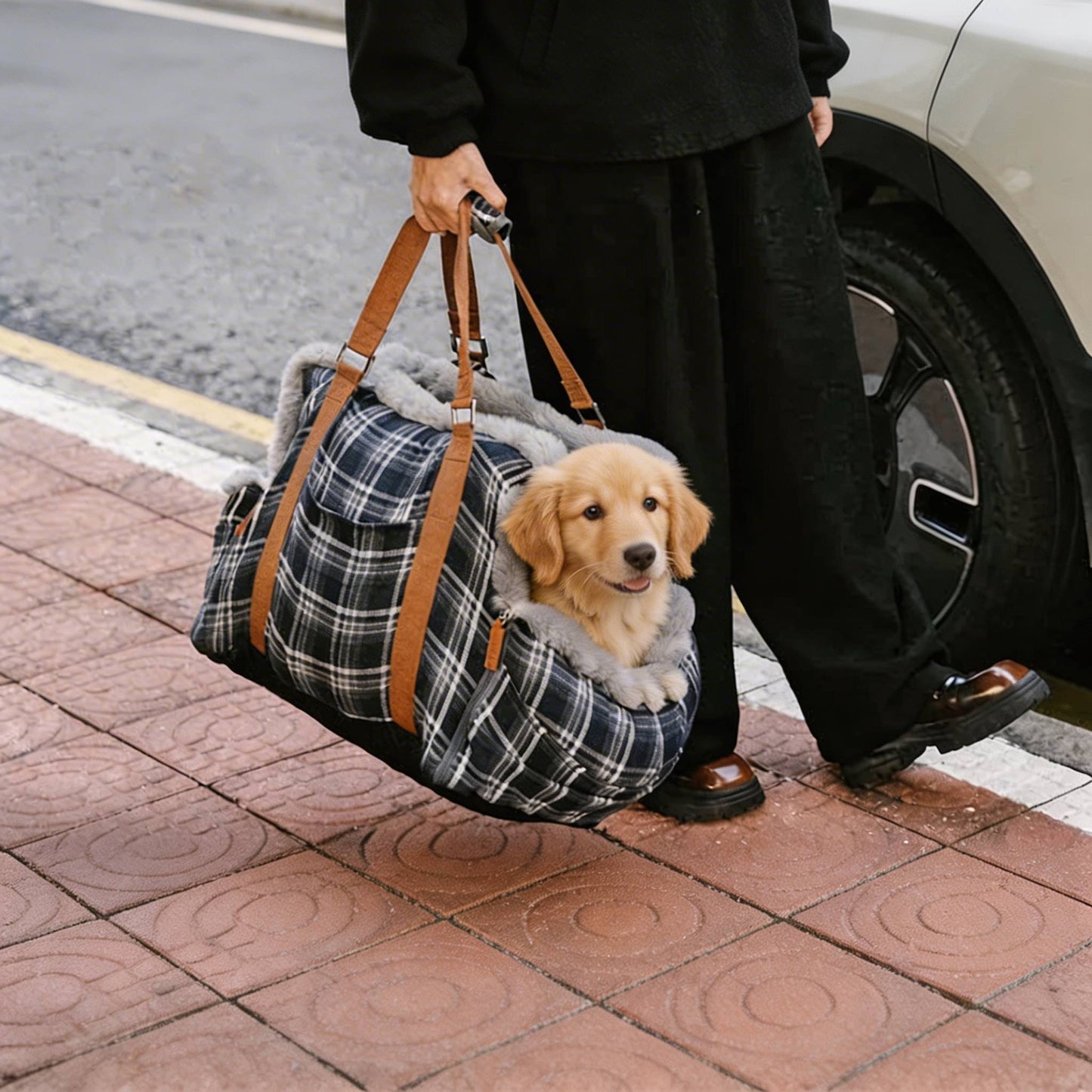 Dog Booster Car Seat Bed with Non-Slip Base for Small to Medium Dogs, Portable Plush Pet Car Seat