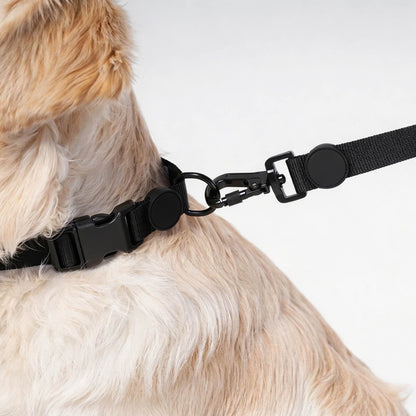 Lightweight Weather Resistant Dog Collar with Optional AirTag Holder