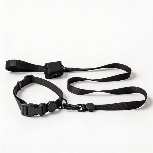 Lightweight Weather Resistant Dog Collar with Optional AirTag Holder