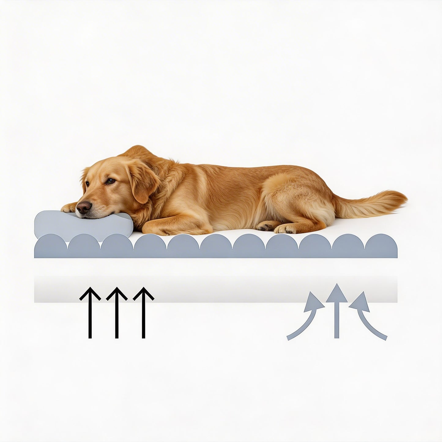 Large Orthopedic Dog Bed with Washable Plush Cover for Ultimate Comfort