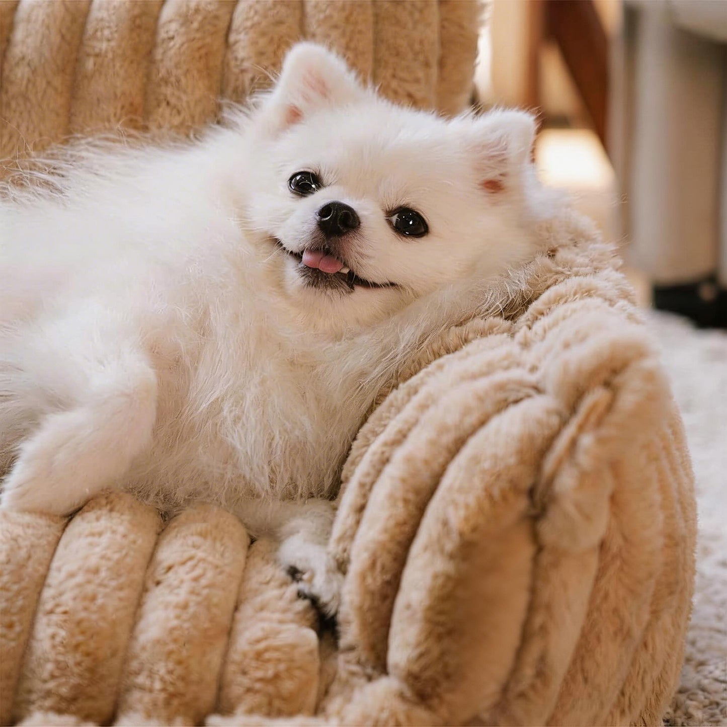 Large Orthopedic Dog Bed with Washable Plush Cover for Ultimate Comfort