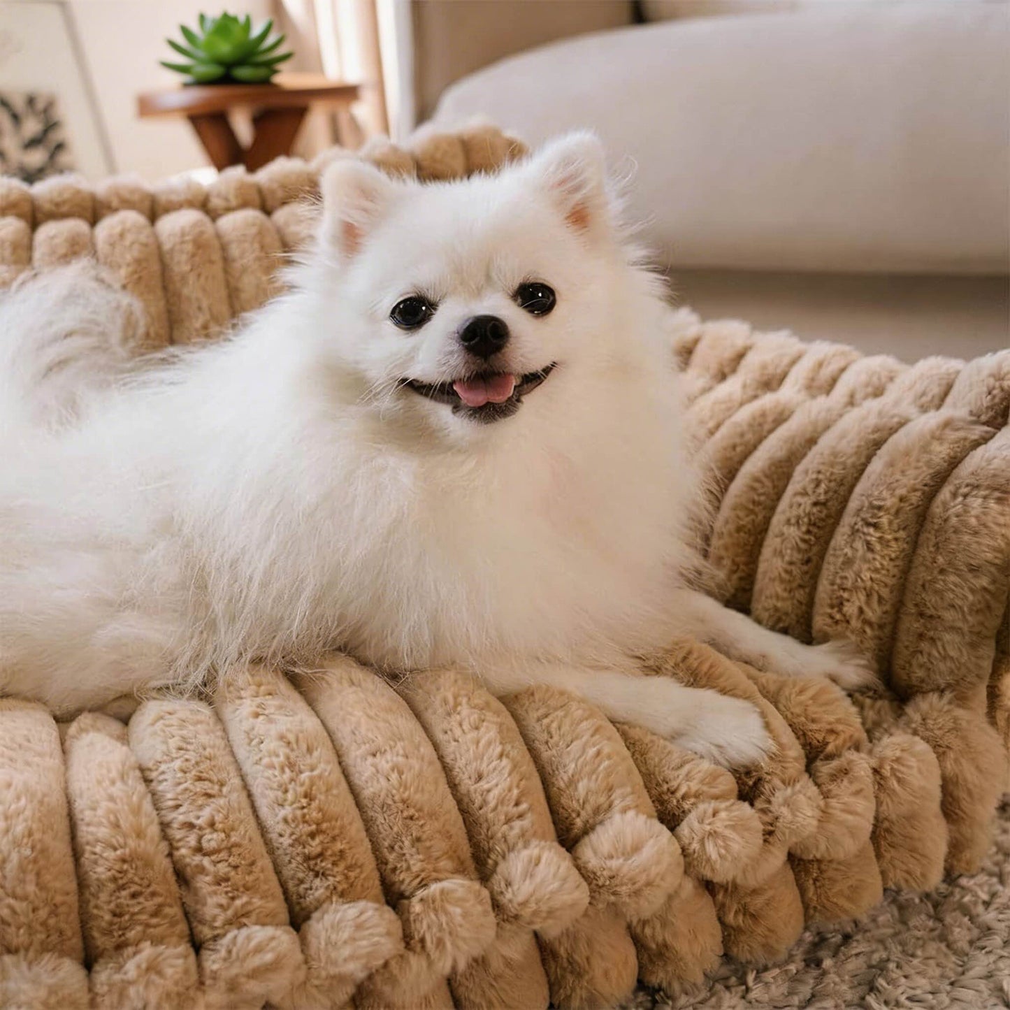 Large Orthopedic Dog Bed with Washable Plush Cover for Ultimate Comfort