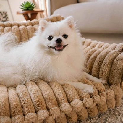 Large Orthopedic Dog Bed with Washable Plush Cover for Ultimate Comfort