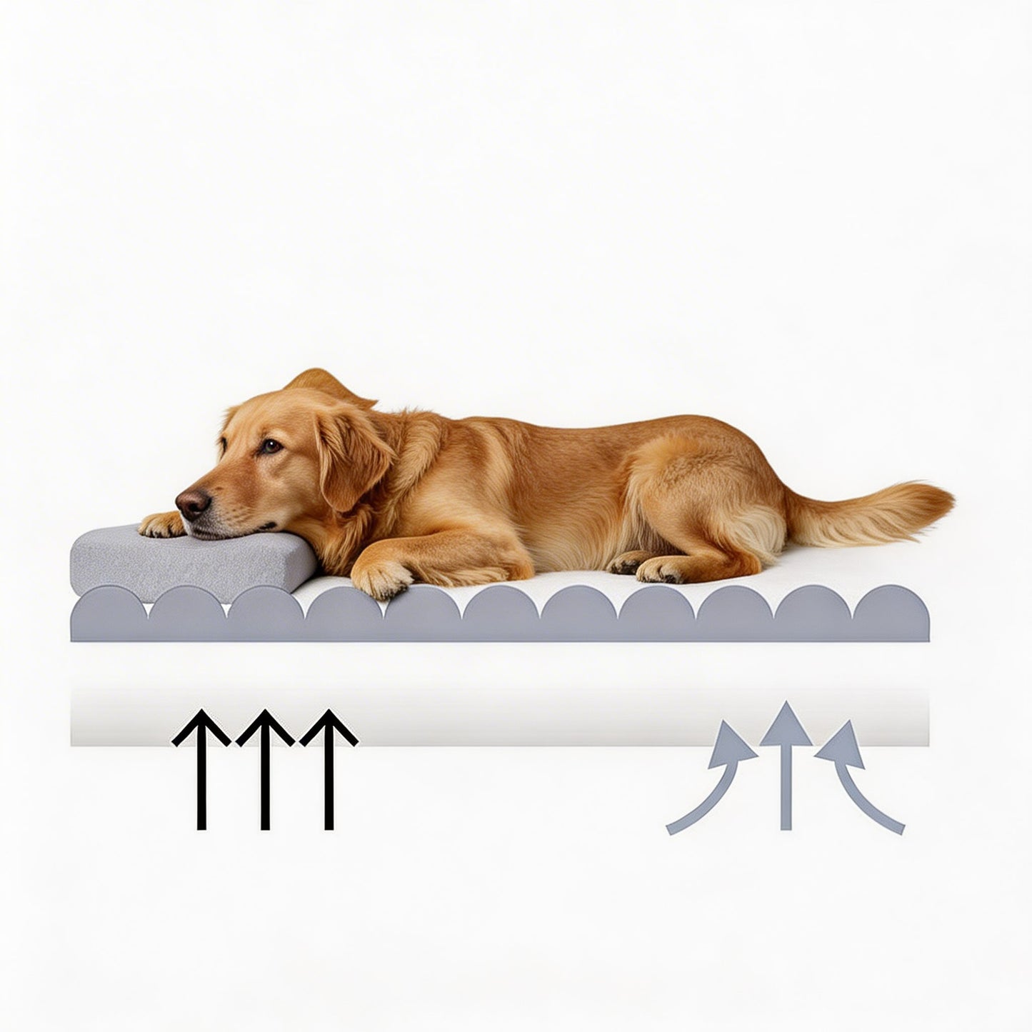 Orthopedic Large Dog Bed with Soft Teddy Fleece and Bolster Support