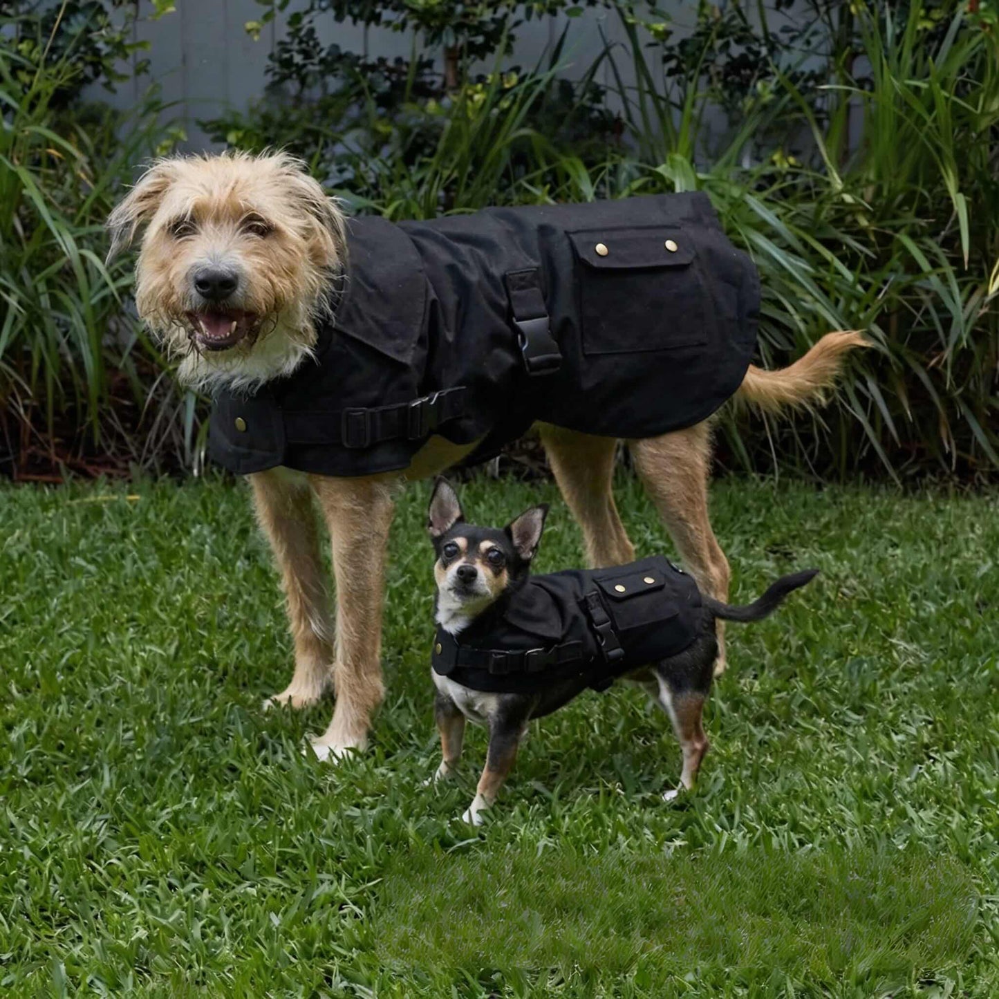 Waterproof Dog Coat with Flanno Lining for All-Weather Protection - Black
