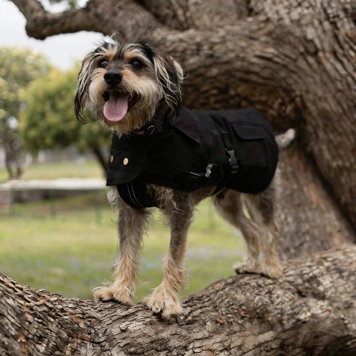 Waterproof Dog Coat with Flanno Lining for All-Weather Protection - Black