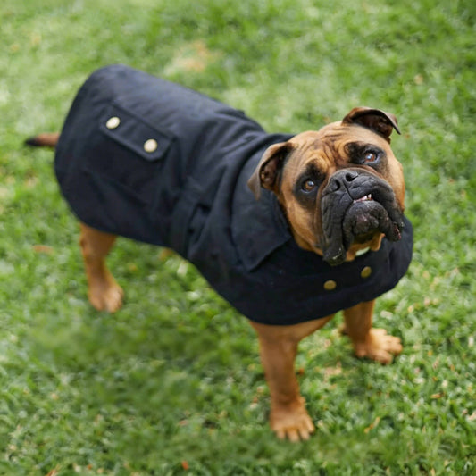 Waterproof Dog Coat with Flanno Lining for All-Weather Protection - Black