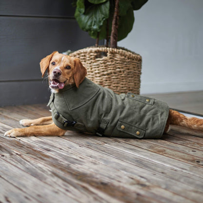 Waterproof Dog Coat Olive Oilskin Jacket with Cozy Lining and Harness