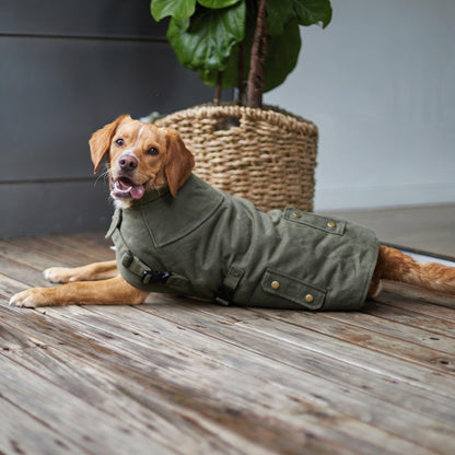 Waterproof Dog Coat Olive Oilskin Jacket with Cozy Lining and Harness