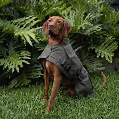 Waterproof Dog Coat Olive Oilskin Jacket with Cozy Lining and Harness
