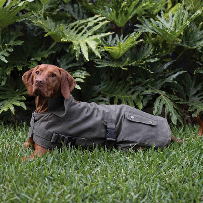 Waterproof Dog Coat Olive Oilskin Jacket with Cozy Lining and Harness