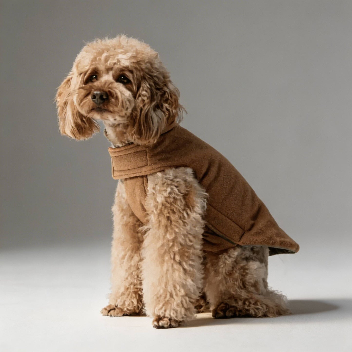 Dog Jacket Reversible Windproof Water Repellent Fleece Vest for Winter