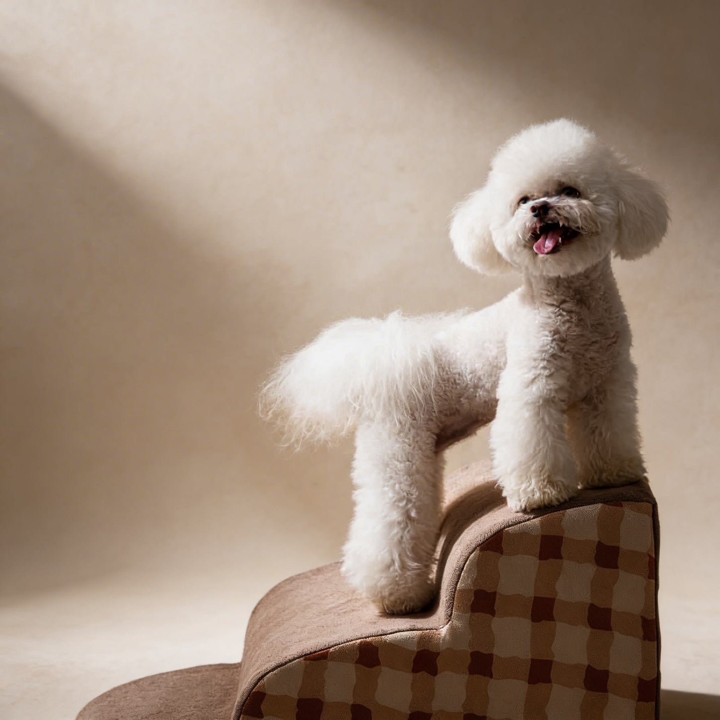 Dog Stairs for Bed - Removable Foam Dog Steps for Small Dogs & Seniors
