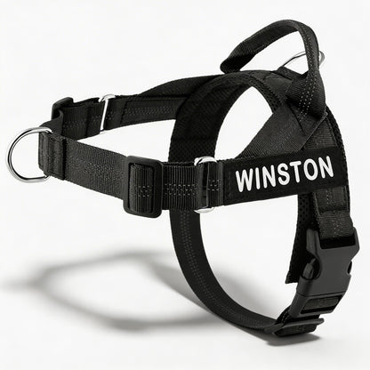 Reflective Adjustable Dog Harness with Name for Small Medium Large Dogs