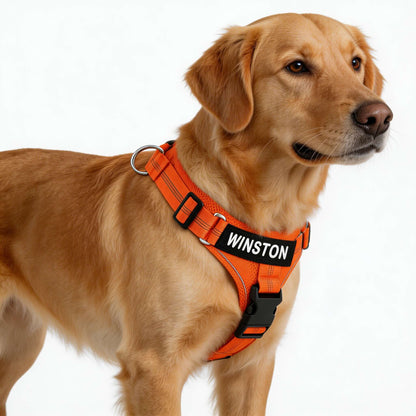 Reflective Adjustable Dog Harness with Name for Small Medium Large Dogs