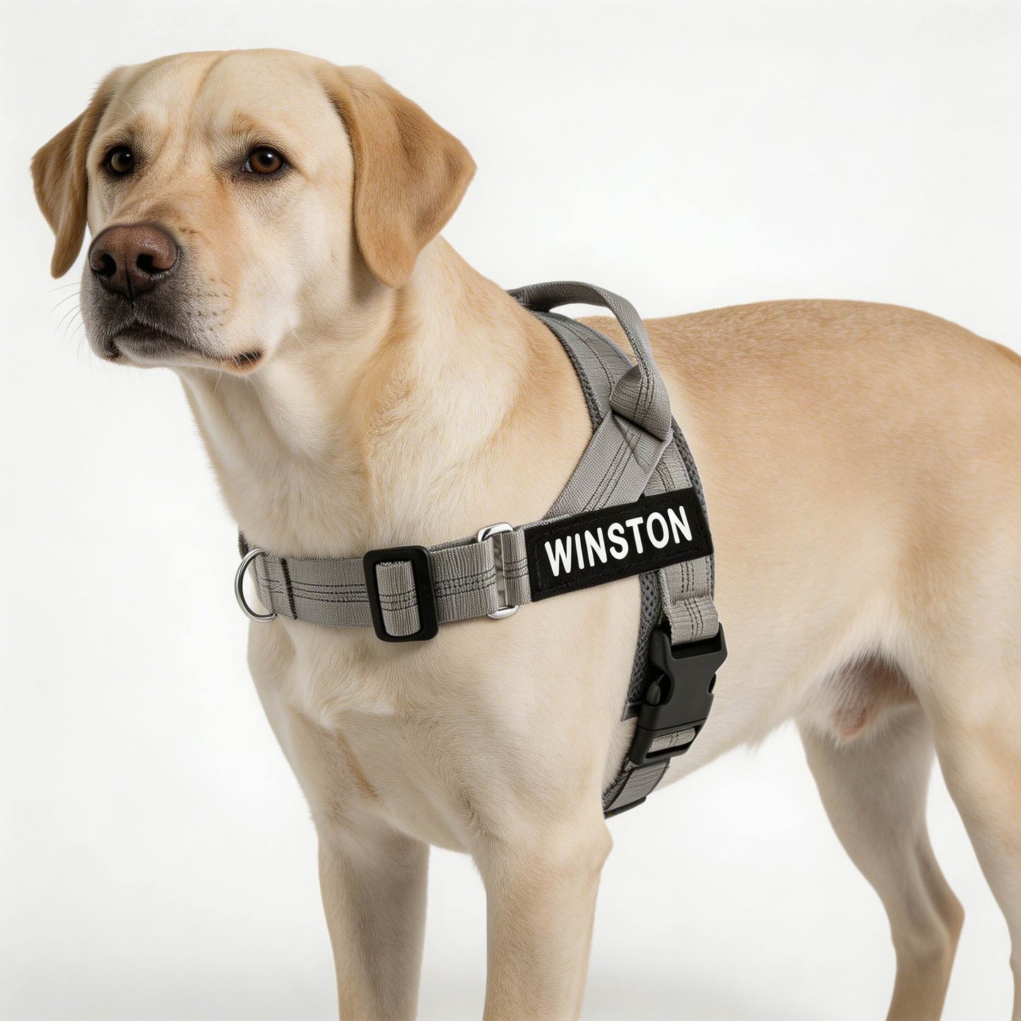 Reflective Adjustable Dog Harness with Name for Small Medium Large Dogs