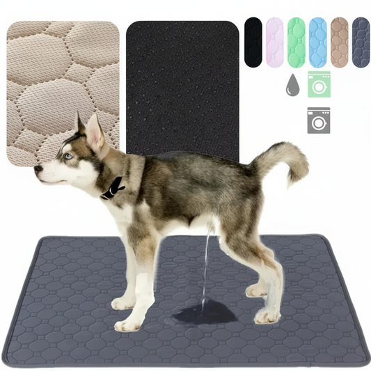 Dog Training Pads Washable Absorbent Puppy Pads Waterproof Non-Slip 4-Layer Mat