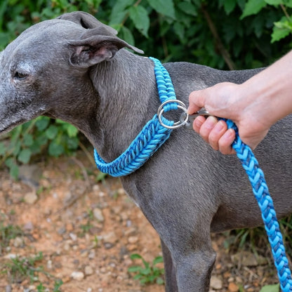 Luminous Dog Collar and Leash Set Large Adjustable Nylon Anti-Pull for Night Safety